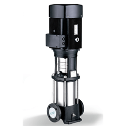 LEO Vertical Pump